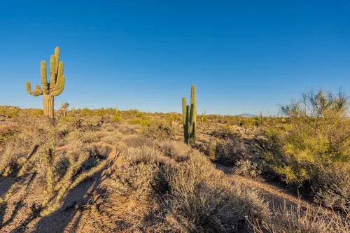 Troon North in Scottsdale, Arizona