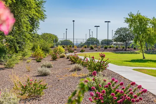 Crossriver in Sun City, Arizona