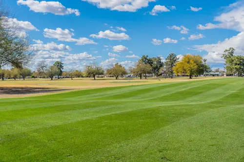 North Golf Course in Sun City, Arizona