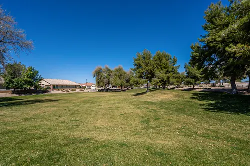Arizona Traditions in Surprise, Arizona