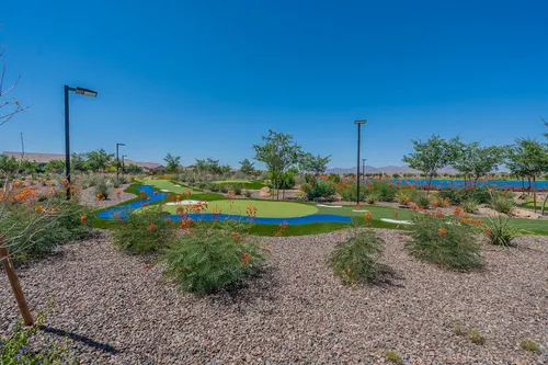Asante in Surprise, Arizona