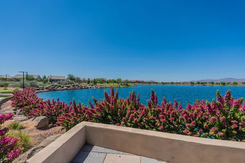 Asante in Surprise, Arizona