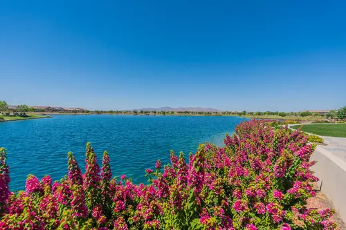 Asante in Surprise, Arizona