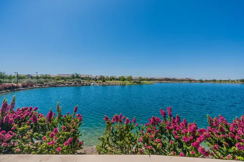 Asante in Surprise, Arizona