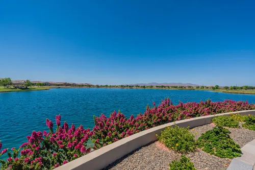 Asante in Surprise, Arizona