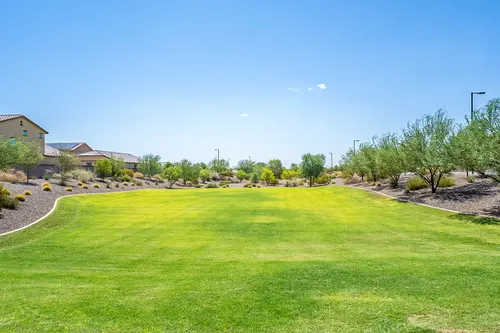 Bellamy in Surprise, Arizona