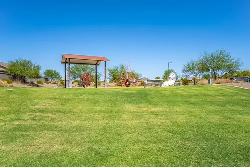 Bellamy in Surprise, Arizona