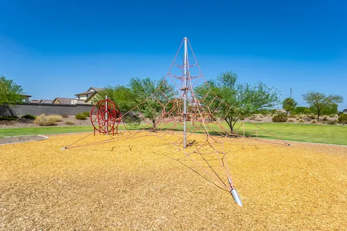 Bellamy in Surprise, Arizona