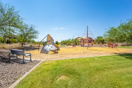 Bellamy in Surprise, Arizona