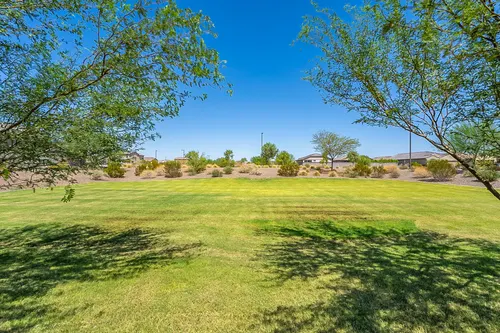 Bellamy in Surprise, Arizona