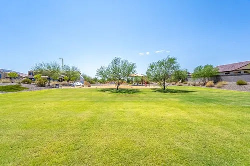 Bellamy in Surprise, Arizona