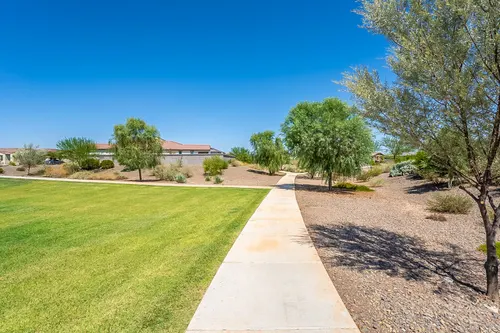 Bellamy in Surprise, Arizona