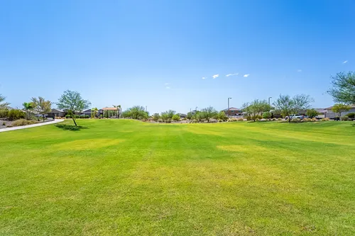 Bellamy in Surprise, Arizona