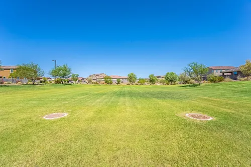 Bellamy in Surprise, Arizona