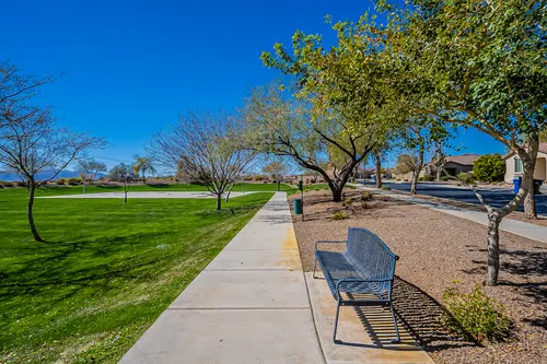 Desert Oasis in Surprise, Arizona