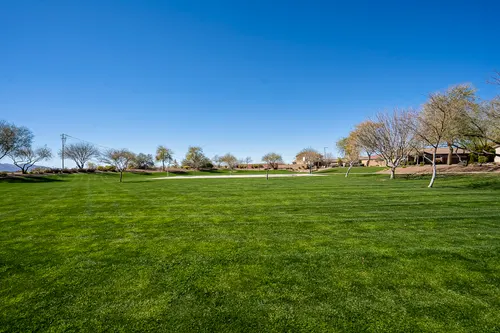 Desert Oasis in Surprise, Arizona