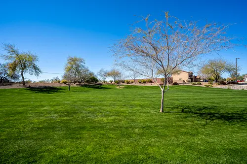 Desert Oasis in Surprise, Arizona