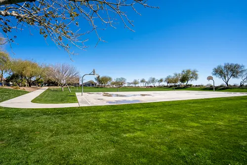 Desert Oasis in Surprise, Arizona