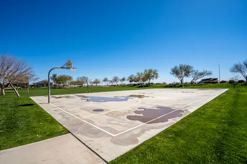 Desert Oasis in Surprise, Arizona