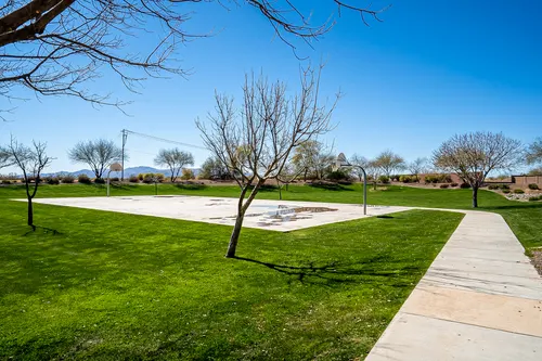 Desert Oasis in Surprise, Arizona