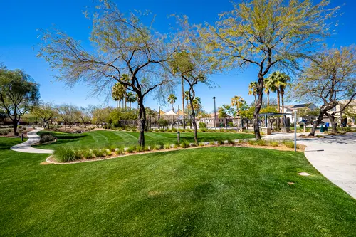 Desert Oasis in Surprise, Arizona