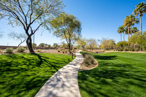Desert Oasis in Surprise, Arizona