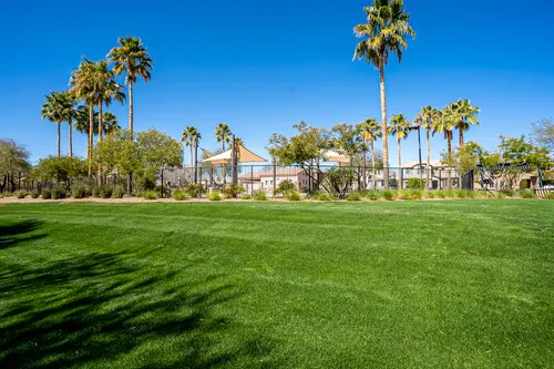 Desert Oasis in Surprise, Arizona