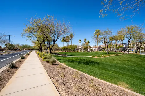 Desert Oasis in Surprise, Arizona