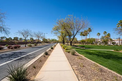 Desert Oasis in Surprise, Arizona