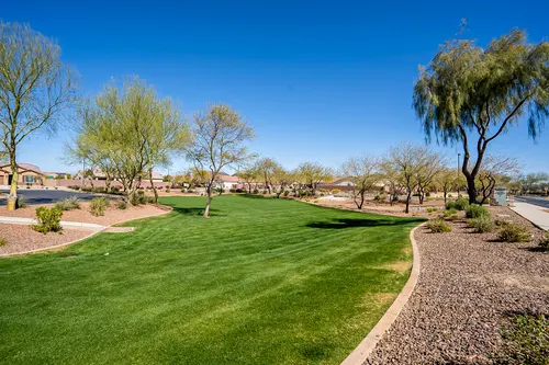 Desert Oasis in Surprise, Arizona