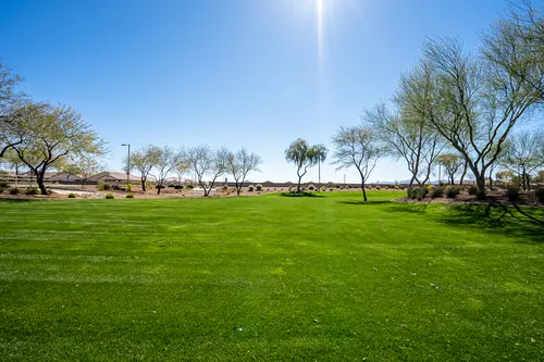 Desert Oasis in Surprise, Arizona