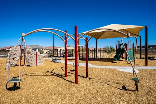 Desert Oasis in Surprise, Arizona