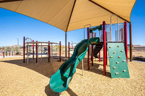 Desert Oasis in Surprise, Arizona