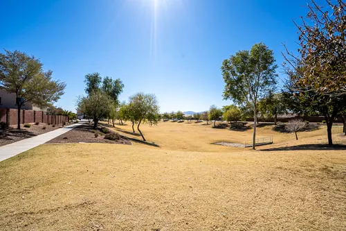 Desert Oasis in Surprise, Arizona