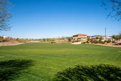 Desert Oasis in Surprise, Arizona