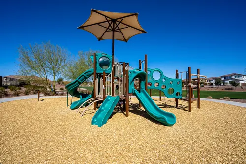 Desert Oasis in Surprise, Arizona