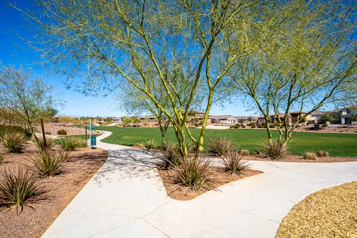 Desert Oasis in Surprise, Arizona
