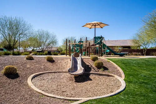 Desert Oasis in Surprise, Arizona