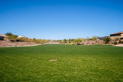 Desert Oasis in Surprise, Arizona