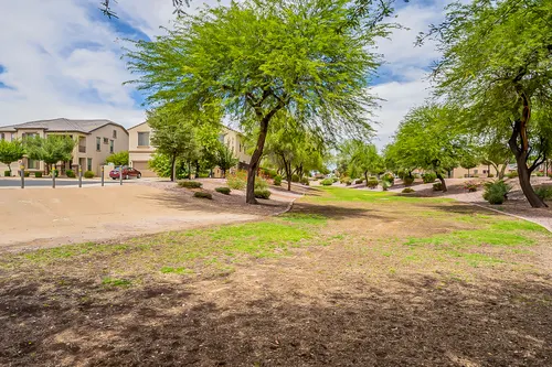 Greer Ranch North in Surprise, Arizona