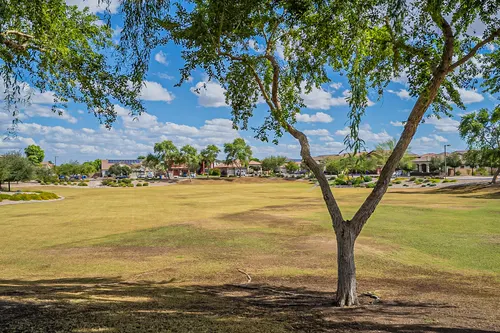 Greer Ranch North in Surprise, Arizona