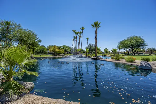 Kingswood Parke in Surprise, Arizona