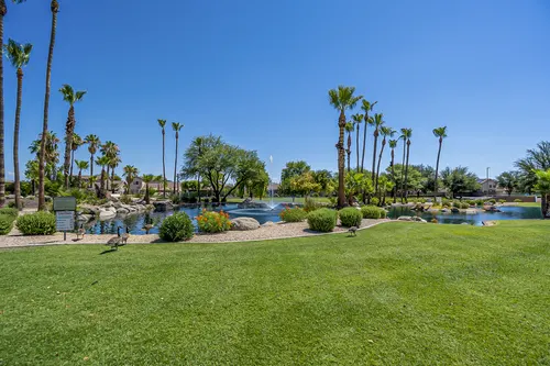 Kingswood Parke in Surprise, Arizona