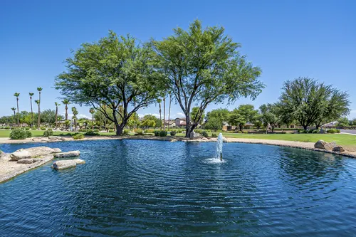 Kingswood Parke in Surprise, Arizona