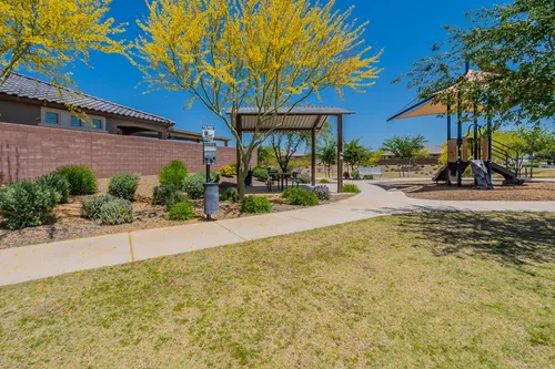 Paloma Creek in Surprise, Arizona