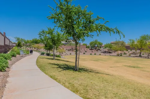 Paloma Creek in Surprise, Arizona