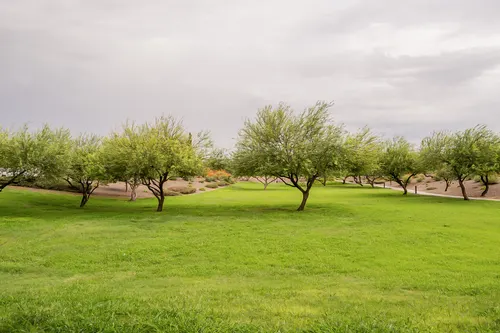 Sarah Ann Ranch in Surprise, Arizona