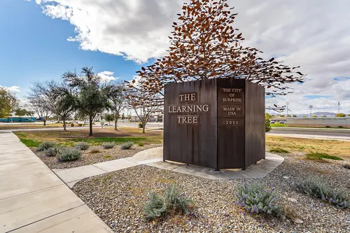 Sierra Verde in Surprise, Arizona