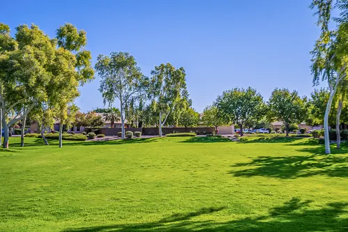 Surprise Farms in Surprise, Arizona