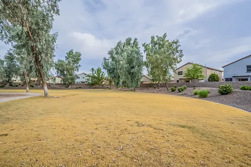Surprise Farms in Surprise, Arizona